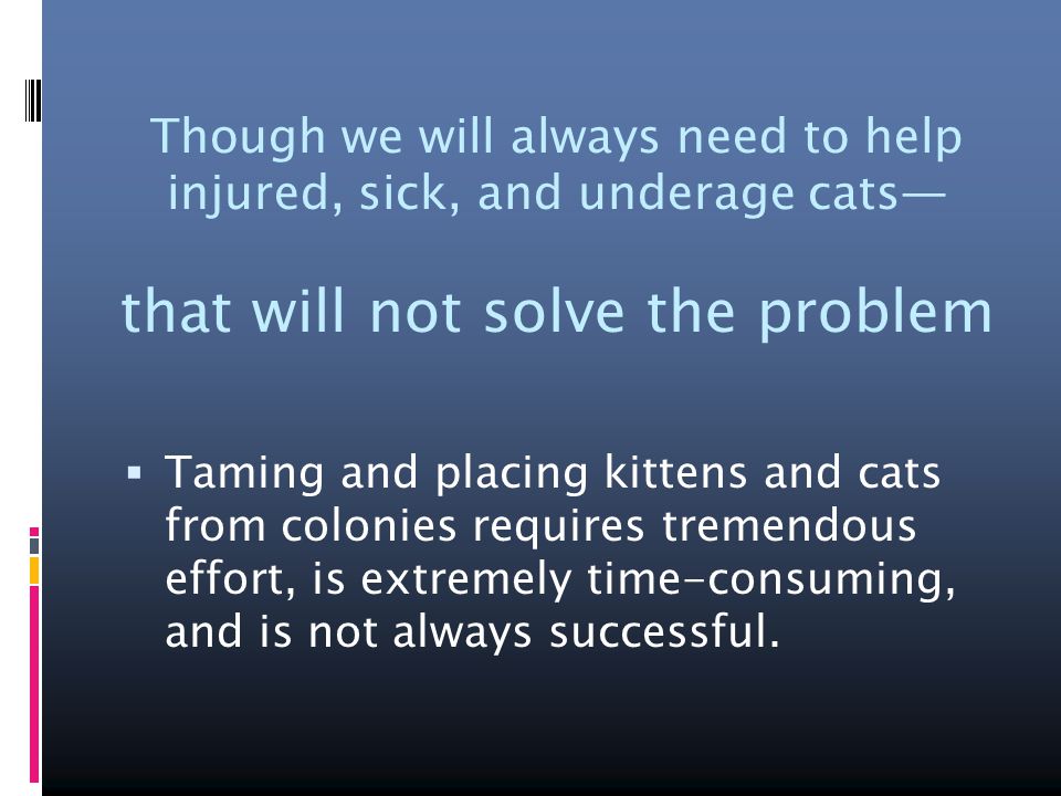 Though we will always need to help injured, sick, and underage cats— that will not solve the problem  Taming and placing kittens and cats from colonies requires tremendous effort, is extremely time-consuming, and is not always successful.