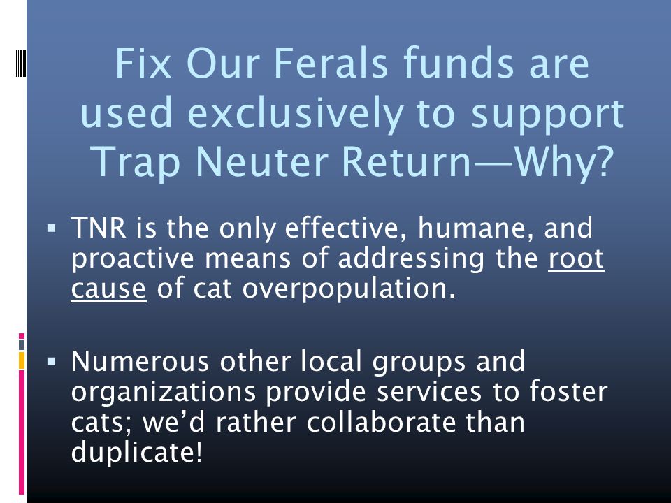 Fix Our Ferals funds are used exclusively to support Trap Neuter Return—Why.