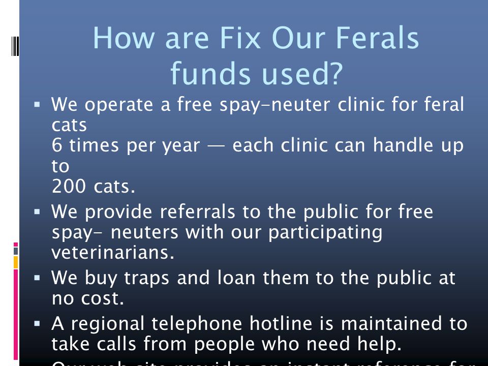How are Fix Our Ferals funds used.