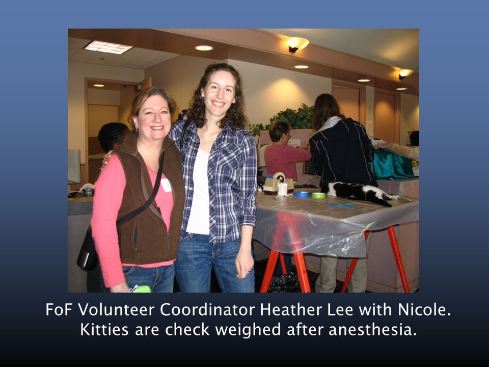 FoF Volunteer Coordinator Heather Lee with Nicole. Kitties are check weighed after anesthesia.