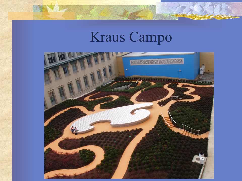 Kraus Campo
