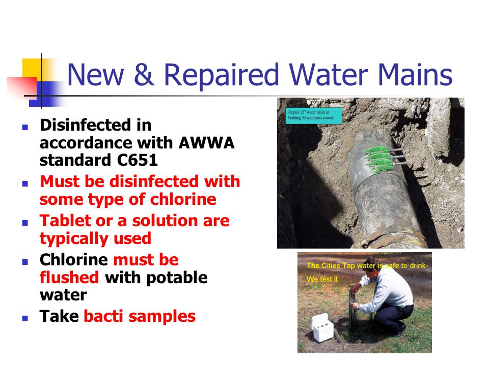 Disinfection Pre Certification Training Pathogenic Disease