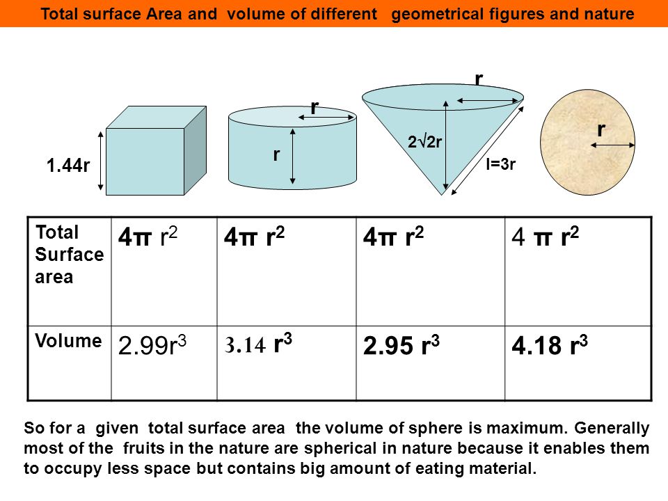 Total Surface area 4π r24π r2 4π r 2 Volume 2.99r r r r 3 Total surface Area and volume of different geometrical figures and nature r r l=3r r r 1.44r So for a given total surface area the volume of sphere is maximum.