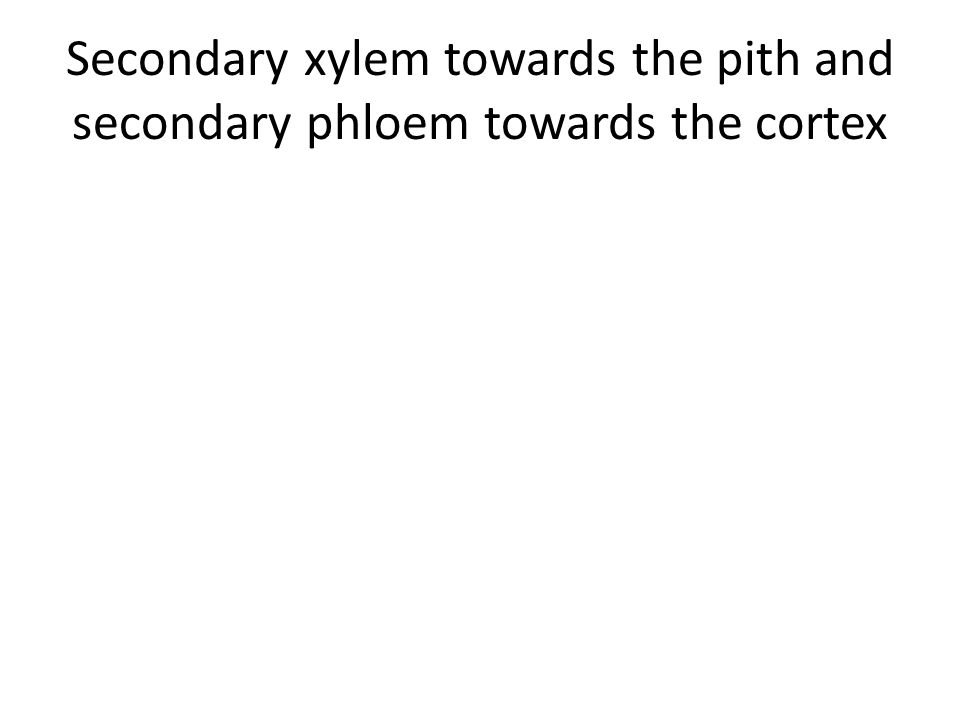 Secondary xylem towards the pith and secondary phloem towards the cortex