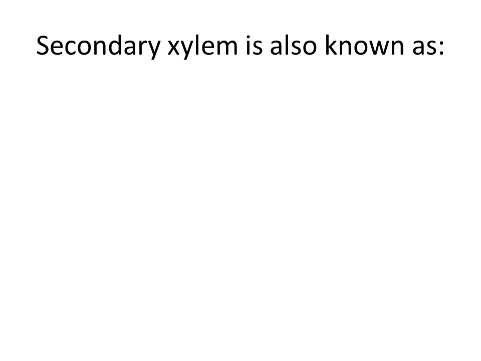 Secondary xylem is also known as: