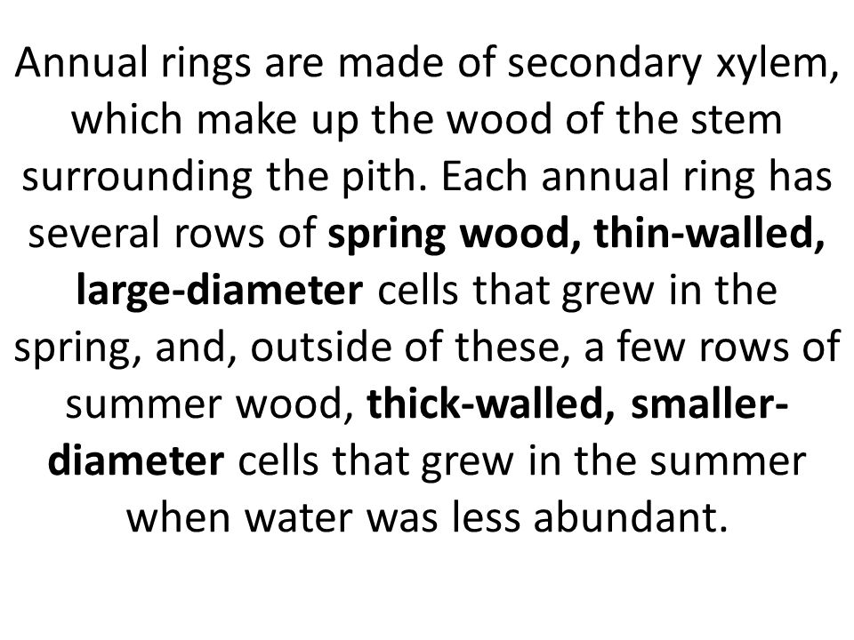 Annual rings are made of secondary xylem, which make up the wood of the stem surrounding the pith.