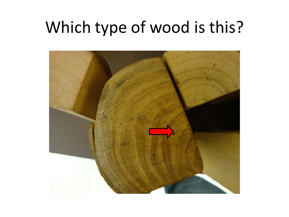 Which type of wood is this