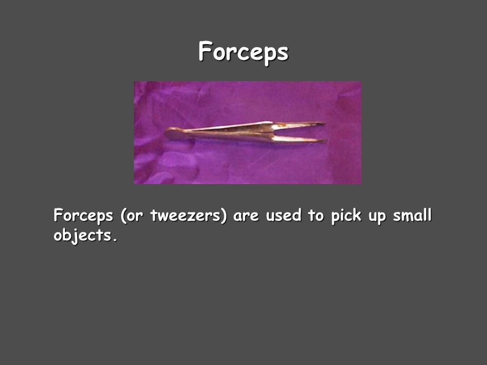 Forceps Forceps (or tweezers) are used to pick up small objects.