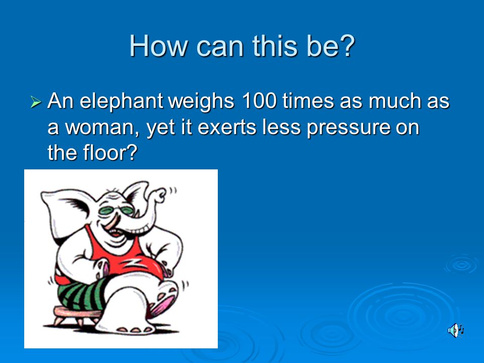 Example problem 2  An elephant weighs 75,000N. She is standing on 4 big feet.