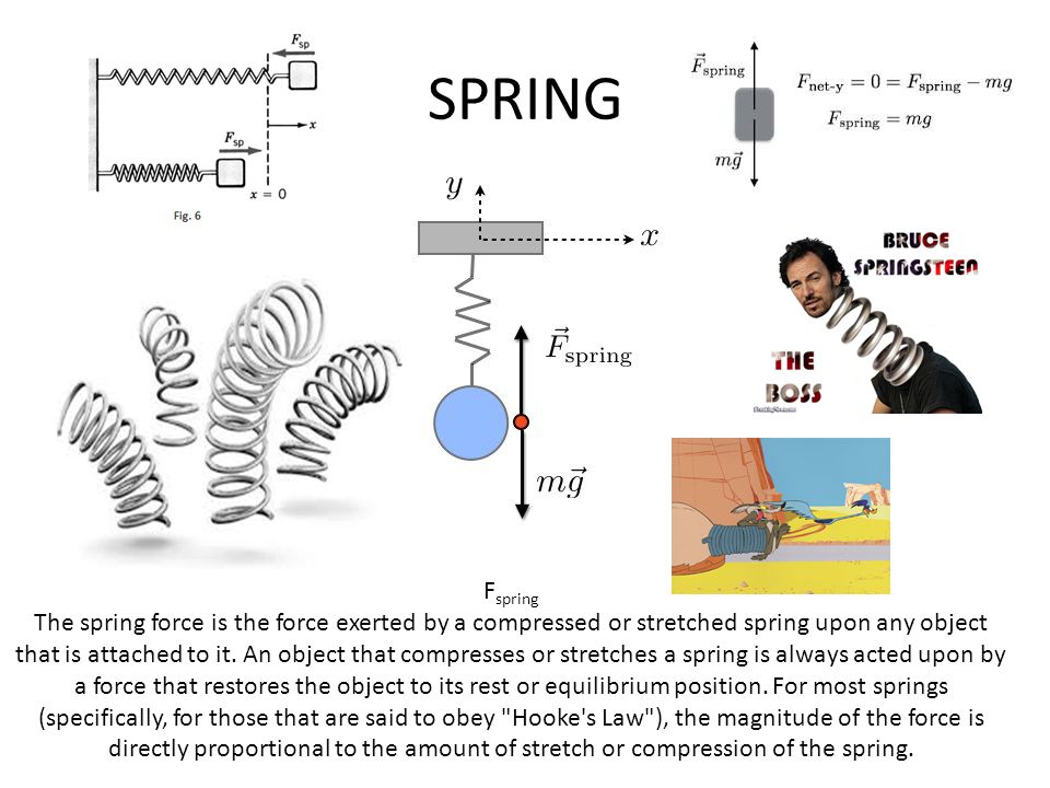 SPRING F spring The spring force is the force exerted by a compressed or stretched spring upon any object that is attached to it.
