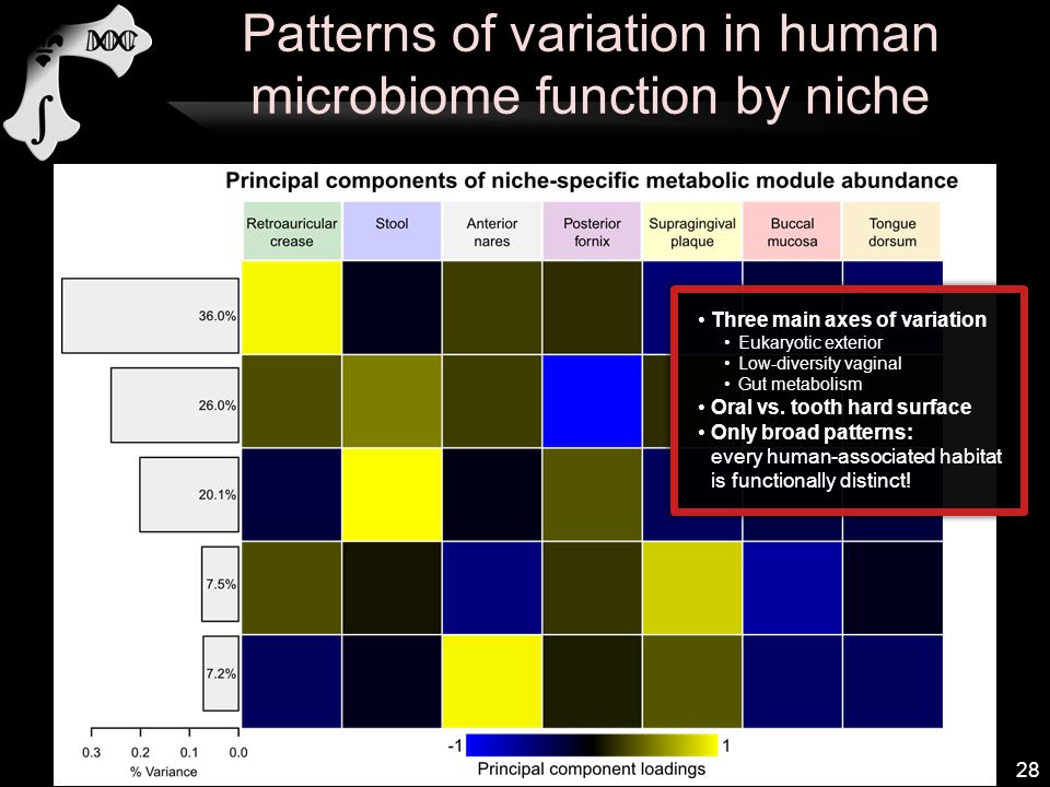 Patterns of variation in human microbiome function by niche 28 Three main axes of variation Eukaryotic exterior Low-diversity vaginal Gut metabolism Oral vs.