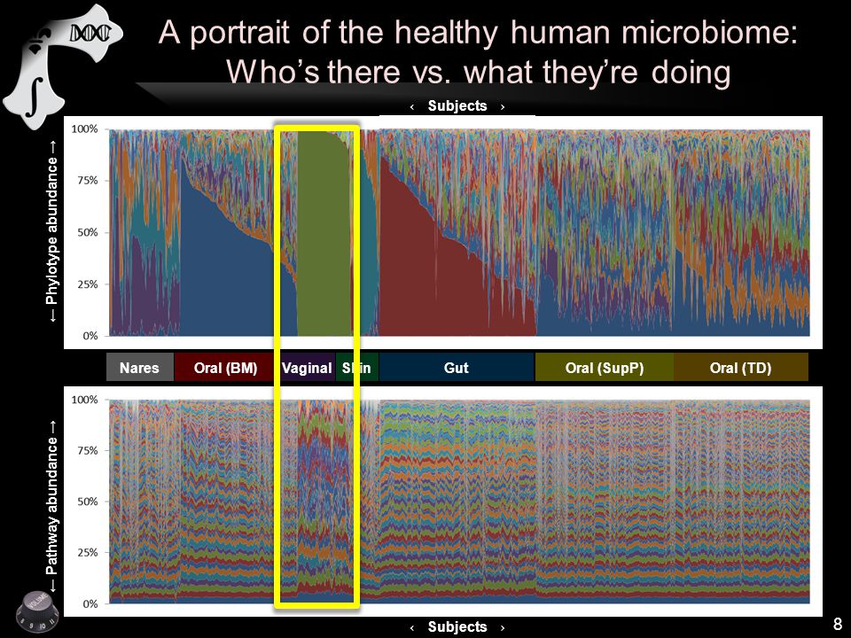 ← Subjects → ← Pathway abundance → ← Phylotype abundance → A portrait of the healthy human microbiome: Who’s there vs.
