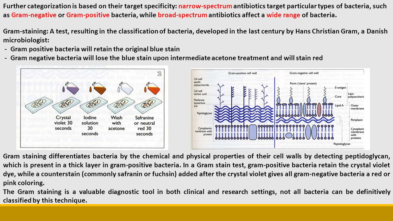 Groups of antibiotics and side effects of antibiotics Groups of antibiotics and side effects of antibiotics