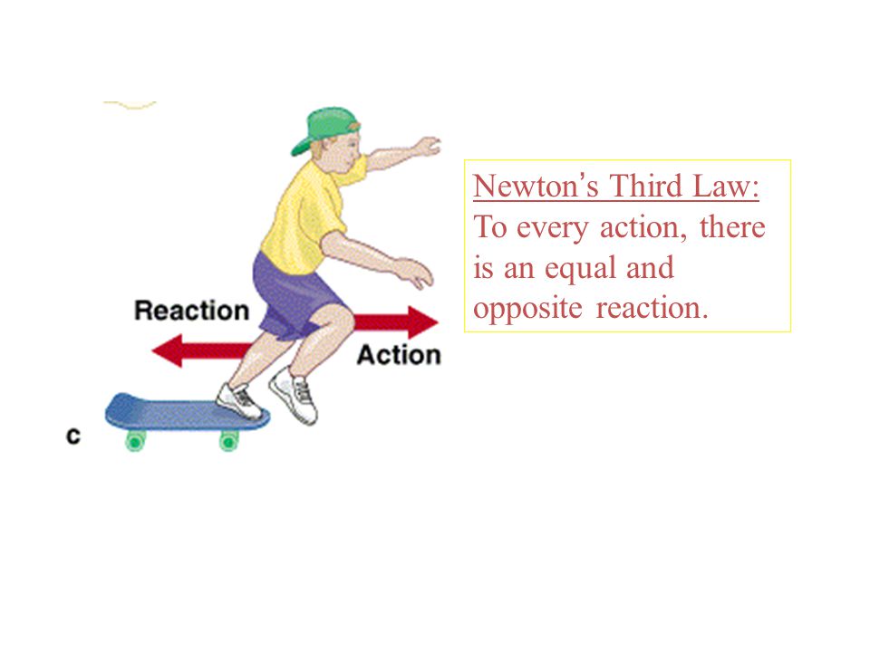 Gergel. Newton's Third Law For every action, there is an equal and - ppt download