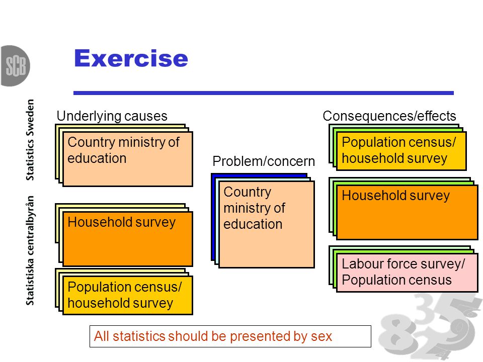Exercise Poorer education among women than among men Problem/concern Family’s preference for investing in sons’ education Underlying causes Girls work in the household Social and cultural barriers Consequences/effects Women’s higher illiteracy Women’s lower access to information and media Women’s lower access to paid work Proportion of pupils starting grade 1 who reach grade 5 Net enrolment ratio in primary education Time girls and boys spend working in the household Fertility rate by age Literacy rate of year-olds years old with correct knowledge of HIV/AIDS All statistics should be presented by sex Women and men in wage employment Country ministry of education Population census/ household survey Household survey Population census/ household survey Labour force survey/ Population census