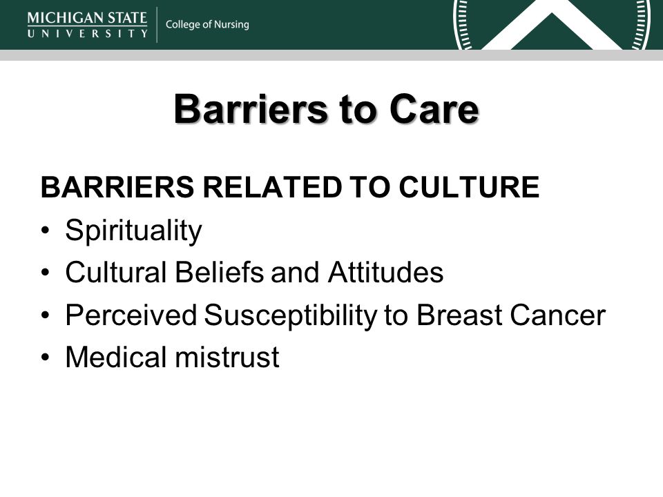 Barriers to Care BARRIERS RELATED TO CULTURE Spirituality Cultural Beliefs and Attitudes Perceived Susceptibility to Breast Cancer Medical mistrust