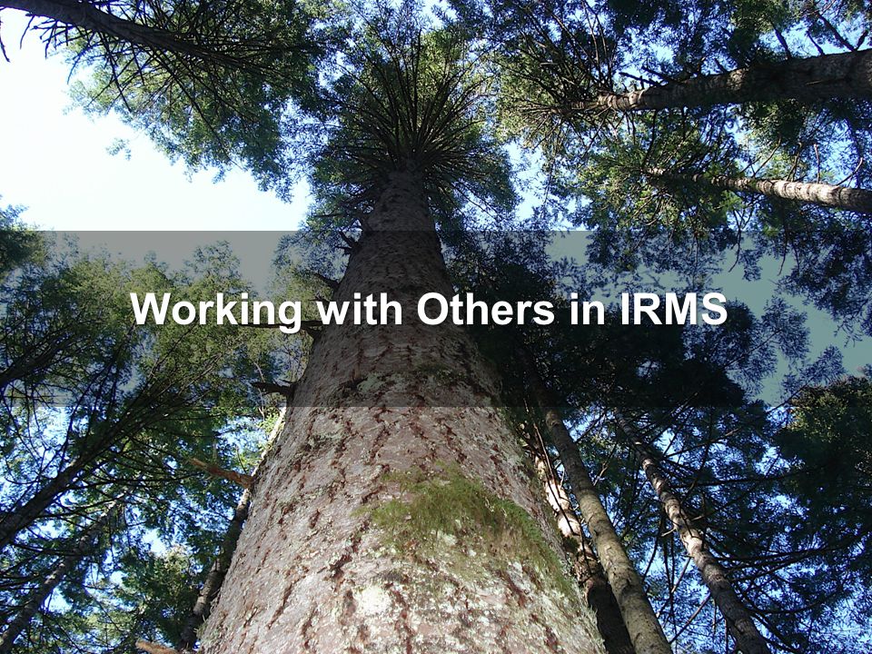 Working with Others in IRMS