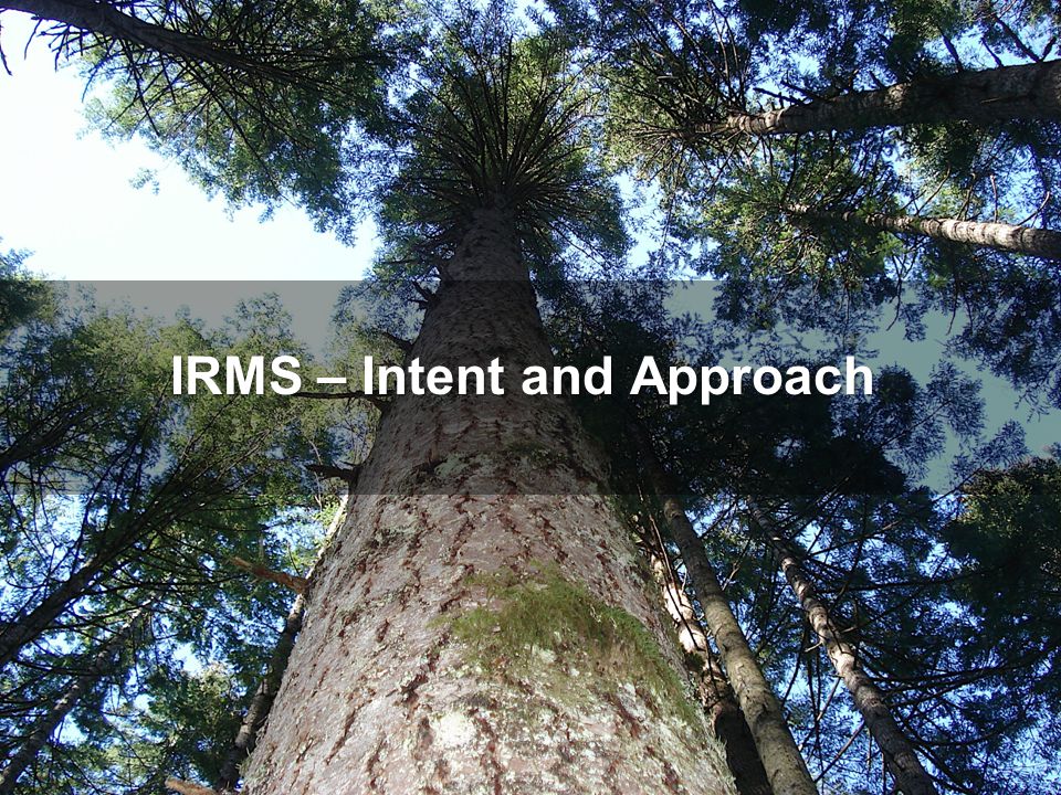 IRMS – Intent and Approach