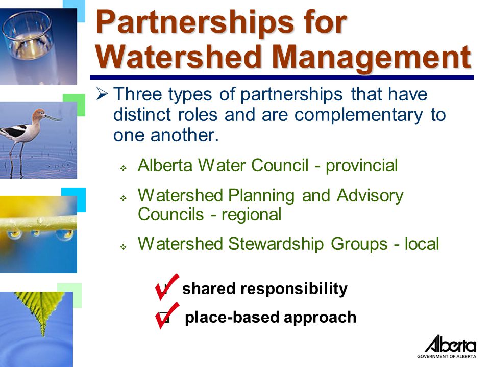 Partnerships for Watershed Management  Three types of partnerships that have distinct roles and are complementary to one another.