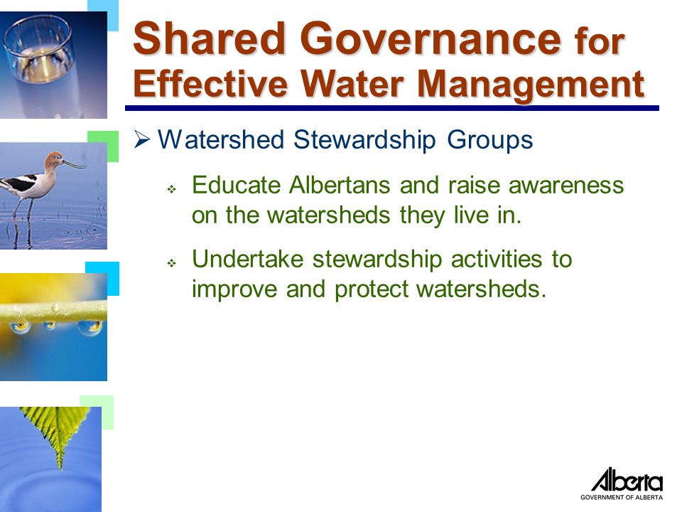 Shared Governance for Effective Water Management  Watershed Stewardship Groups  Educate Albertans and raise awareness on the watersheds they live in.