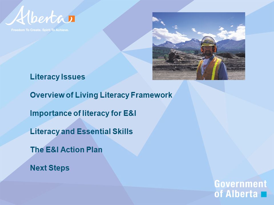 Literacy Issues Overview of Living Literacy Framework Importance of literacy for E&I Literacy and Essential Skills The E&I Action Plan Next Steps