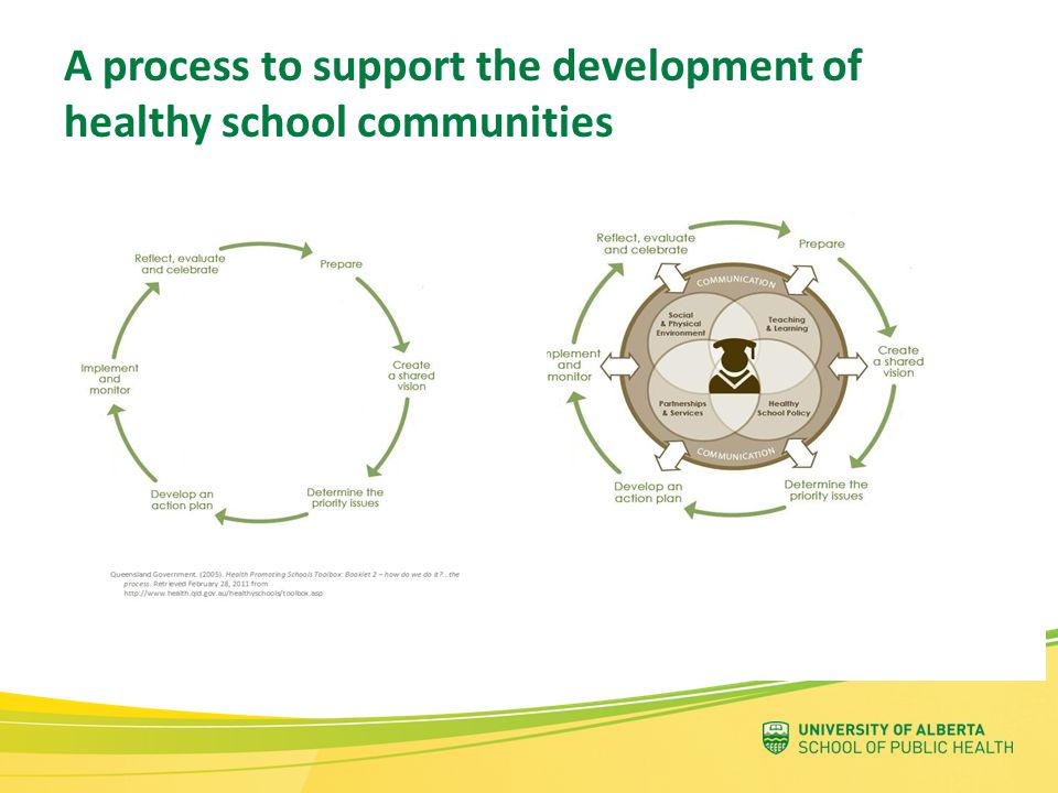 A process to support the development of healthy school communities