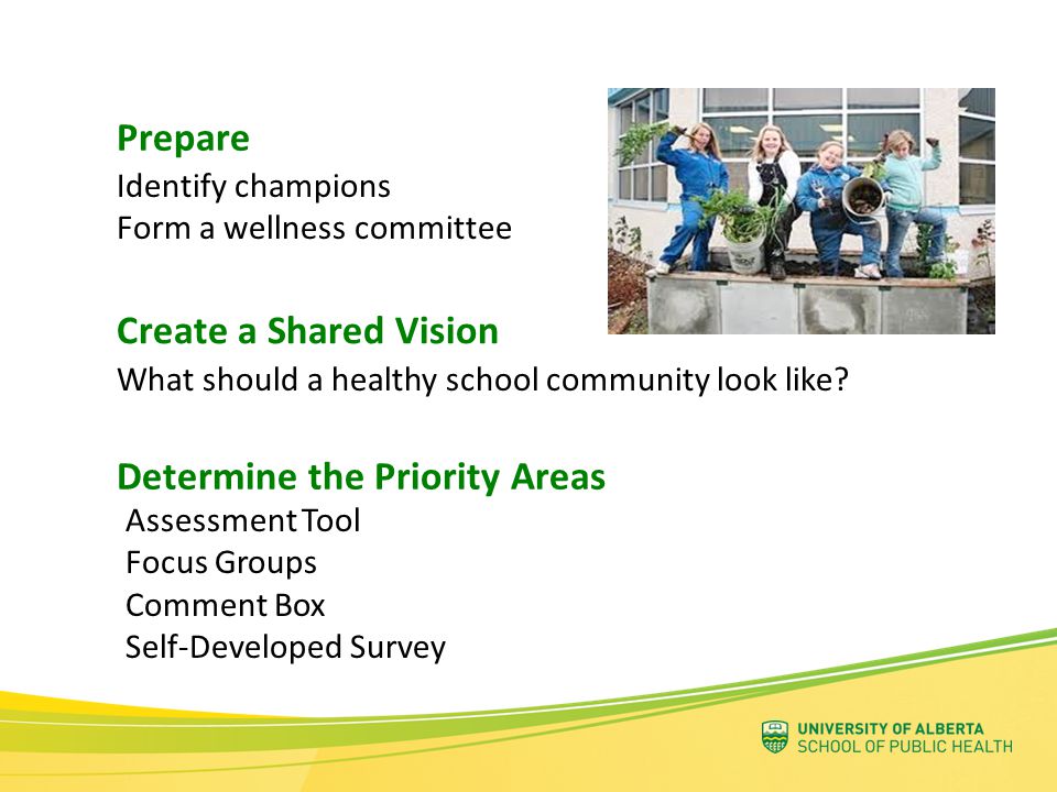 Assessment Tool Focus Groups Comment Box Self-Developed Survey Determine the Priority Areas Create a Shared Vision What should a healthy school community look like.