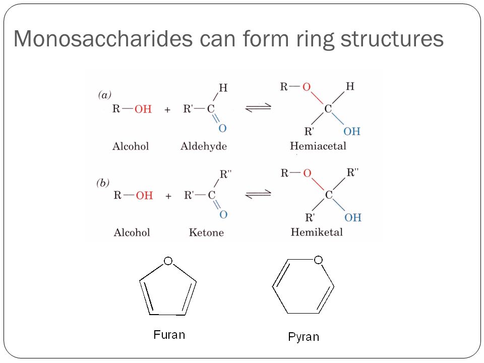 Monosaccharides can form ring structures