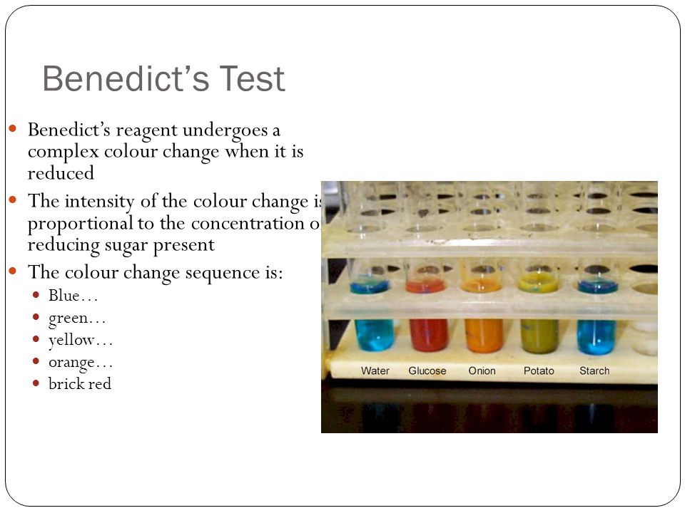 Benedict’s Test Benedict’s reagent undergoes a complex colour change when it is reduced The intensity of the colour change is proportional to the concentration of reducing sugar present The colour change sequence is: Blue… green… yellow… orange… brick red