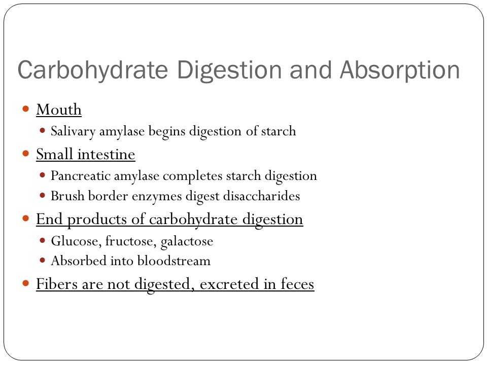 Carbohydrate Digestion and Absorption Mouth Salivary amylase begins digestion of starch Small intestine Pancreatic amylase completes starch digestion Brush border enzymes digest disaccharides End products of carbohydrate digestion Glucose, fructose, galactose Absorbed into bloodstream Fibers are not digested, excreted in feces
