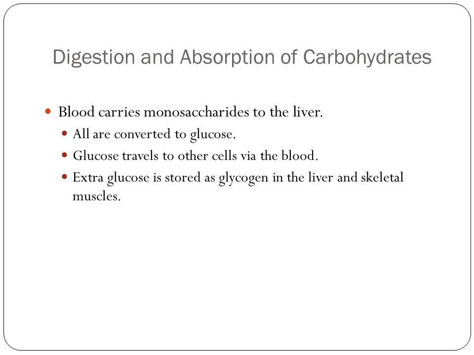 Digestion and Absorption of Carbohydrates Blood carries monosaccharides to the liver.