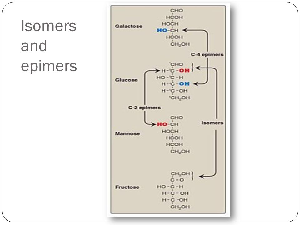 Isomers and epimers