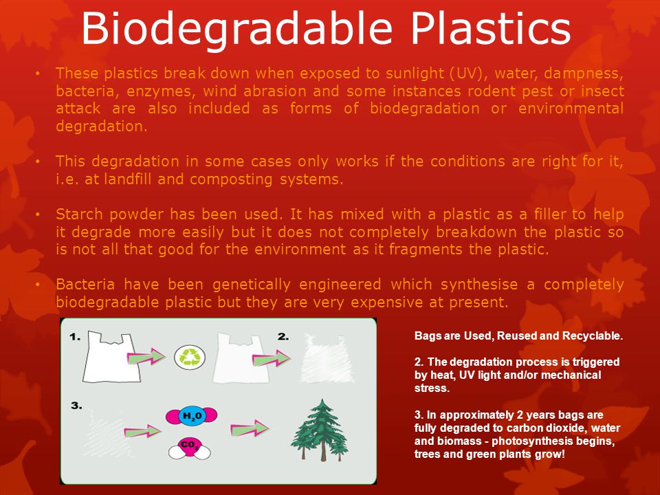 Biodegradable Plastics These plastics break down when exposed to sunlight (UV), water, dampness, bacteria, enzymes, wind abrasion and some instances rodent pest or insect attack are also included as forms of biodegradation or environmental degradation.