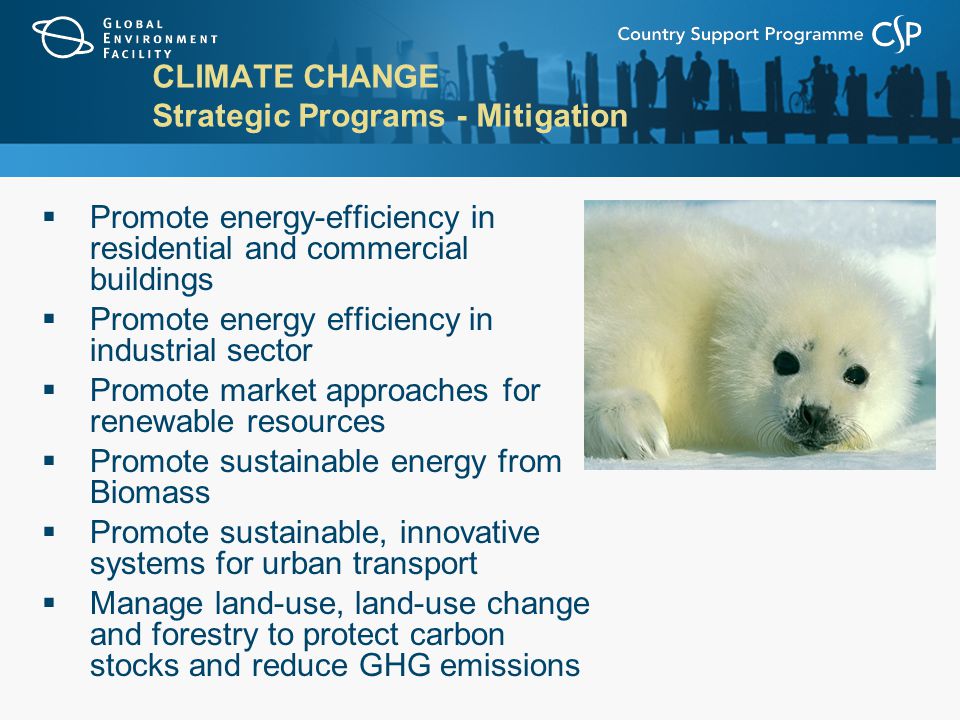 CLIMATE CHANGE Strategic Programs - Mitigation  Promote energy-efficiency in residential and commercial buildings  Promote energy efficiency in industrial sector  Promote market approaches for renewable resources  Promote sustainable energy from Biomass  Promote sustainable, innovative systems for urban transport  Manage land-use, land-use change and forestry to protect carbon stocks and reduce GHG emissions