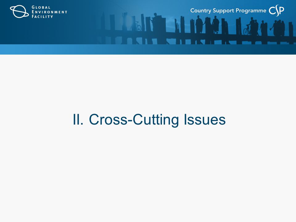 II. Cross-Cutting Issues