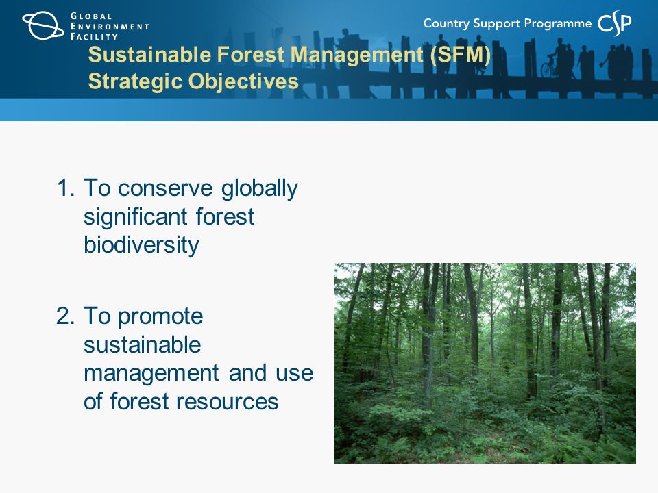 Sustainable Forest Management (SFM) Strategic Objectives 1.To conserve globally significant forest biodiversity 2.To promote sustainable management and use of forest resources