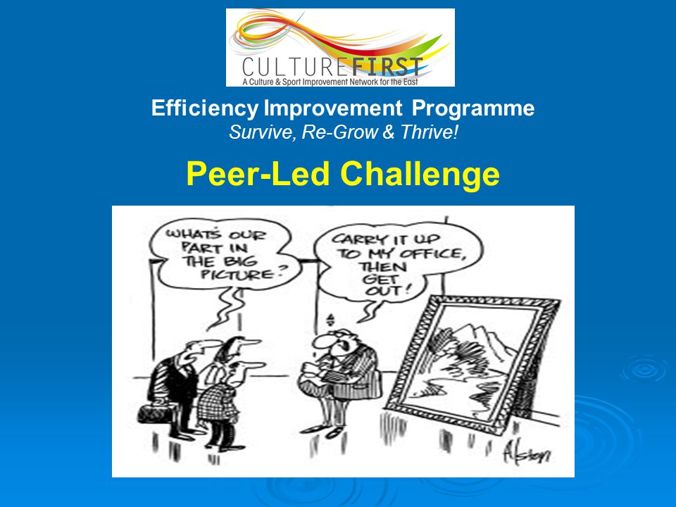 Efficiency Improvement Programme Survive, Re-Grow & Thrive! Peer-Led Challenge