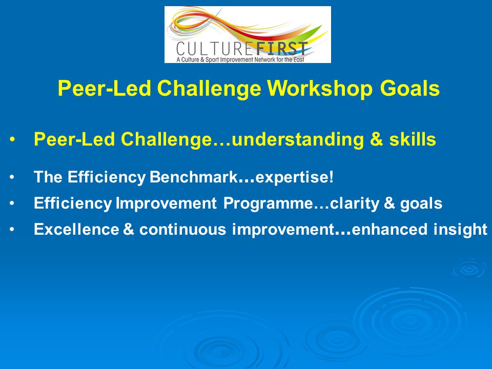 Peer-Led Challenge Workshop Goals Peer-Led Challenge…understanding & skills The Efficiency Benchmark … expertise.
