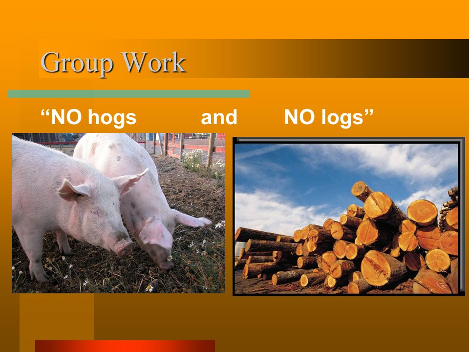 Group Work NO hogs and NO logs
