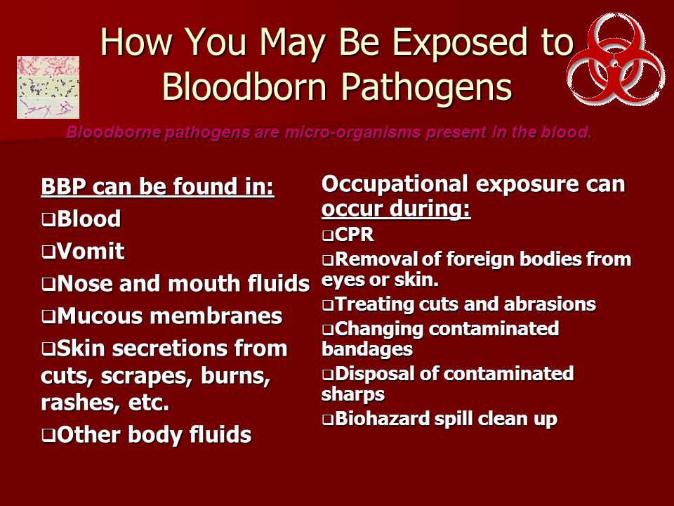 How You May Be Exposed to Bloodborn Pathogens BBP can be found in:  Blood  Vomit  Nose and mouth fluids  Mucous membranes  Skin secretions from cuts, scrapes, burns, rashes, etc.
