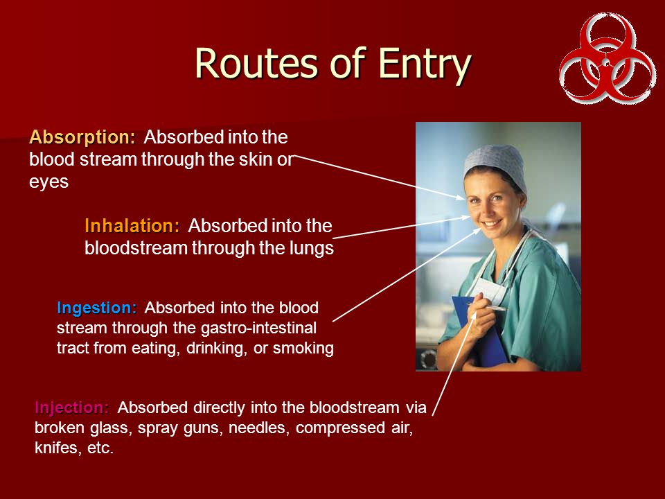 Routes of Entry Absorption: Absorption: Absorbed into the blood stream through the skin or eyes Inhalation: Inhalation: Absorbed into the bloodstream through the lungs Ingestion: Ingestion: Absorbed into the blood stream through the gastro-intestinal tract from eating, drinking, or smoking Injection: Injection: Absorbed directly into the bloodstream via broken glass, spray guns, needles, compressed air, knifes, etc.