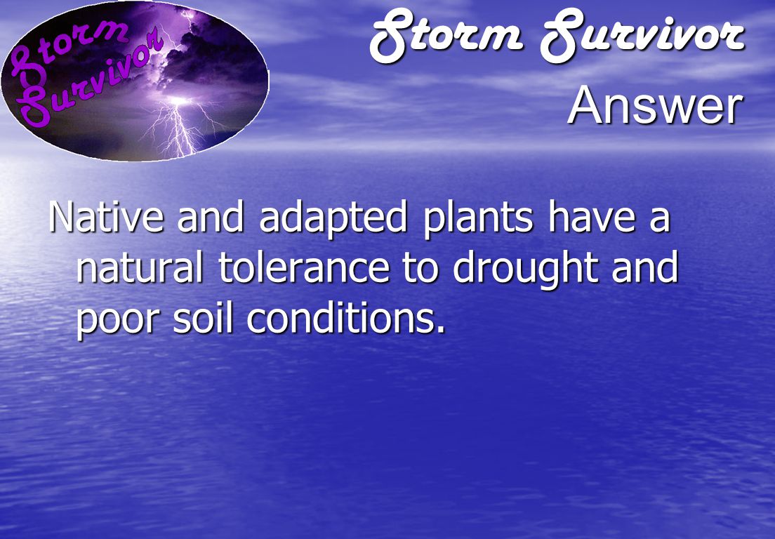 Storm Survivor Question Why do native and adapted plants require less water, fertilizer and pesticides