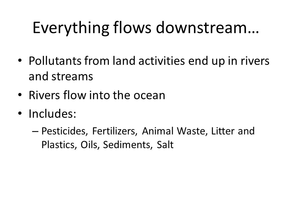 Everything flows downstream… Pollutants from land activities end up in rivers and streams Rivers flow into the ocean Includes: – Pesticides, Fertilizers, Animal Waste, Litter and Plastics, Oils, Sediments, Salt