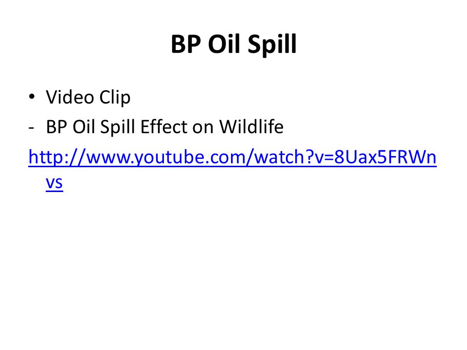 BP Oil Spill Video Clip -BP Oil Spill Effect on Wildlife   v=8Uax5FRWn vs