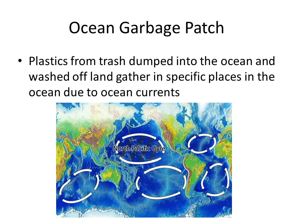 Ocean Garbage Patch Plastics from trash dumped into the ocean and washed off land gather in specific places in the ocean due to ocean currents