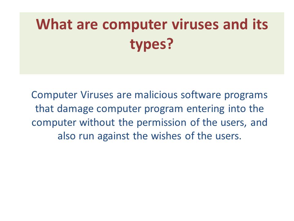 What are computer viruses and its types.