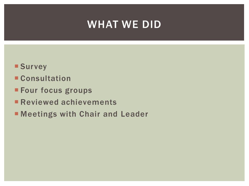  Survey  Consultation  Four focus groups  Reviewed achievements  Meetings with Chair and Leader WHAT WE DID
