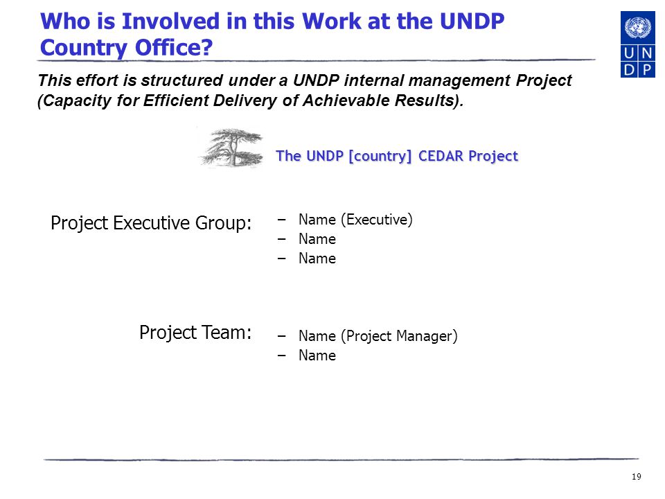 19 Who is Involved in this Work at the UNDP Country Office.