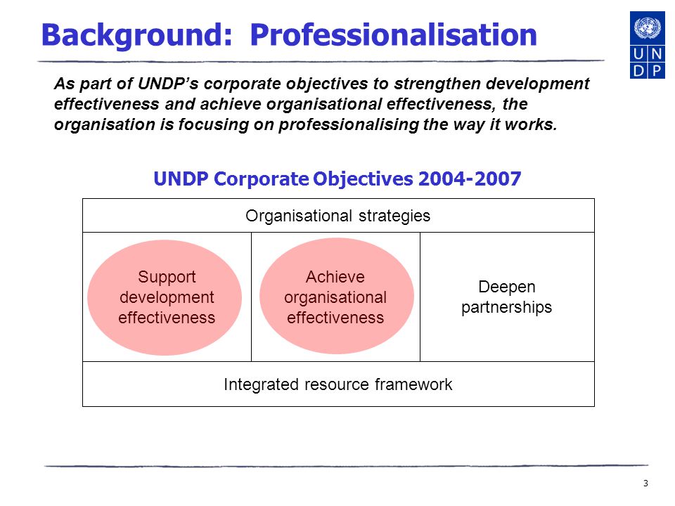 3 Background: Professionalisation Organisational strategies Support development effectiveness Achieve organisational effectiveness Deepen partnerships Integrated resource framework As part of UNDP’s corporate objectives to strengthen development effectiveness and achieve organisational effectiveness, the organisation is focusing on professionalising the way it works.