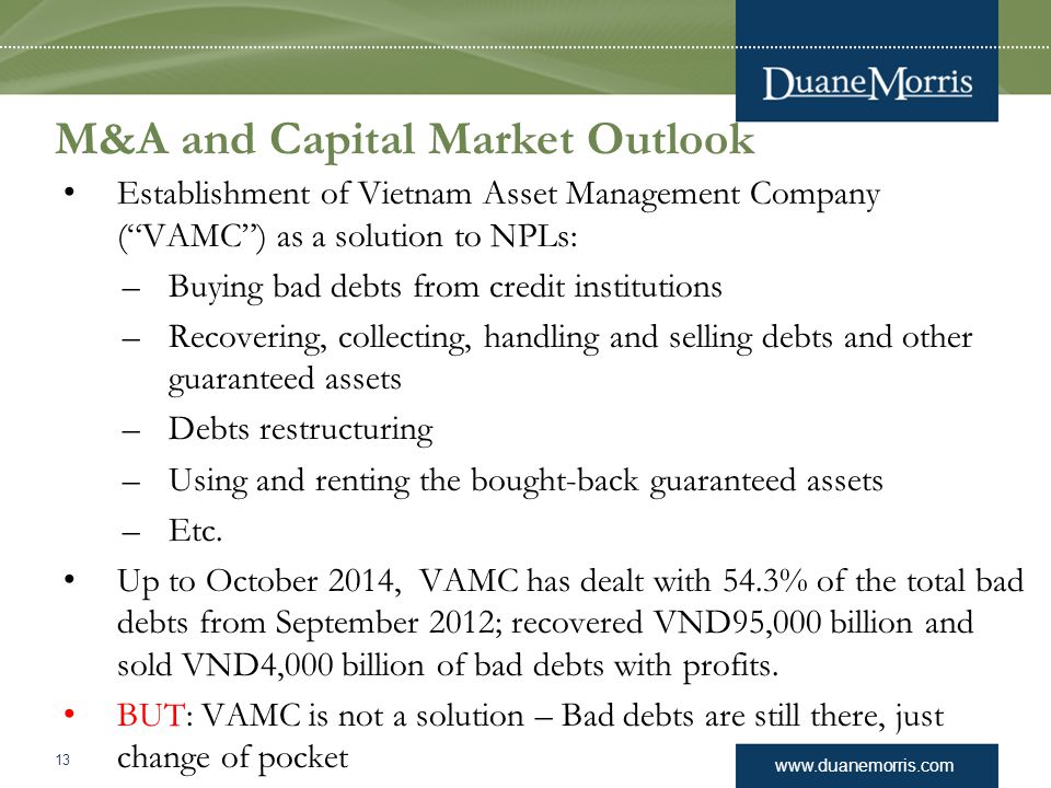 M&A and Capital Market Outlook Establishment of Vietnam Asset Management Company ( VAMC ) as a solution to NPLs: –Buying bad debts from credit institutions –Recovering, collecting, handling and selling debts and other guaranteed assets –Debts restructuring –Using and renting the bought-back guaranteed assets –Etc.